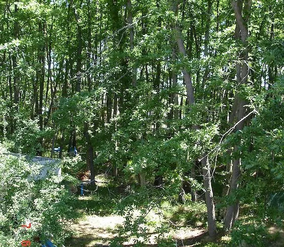 Park 1 Kiten (Burgas)