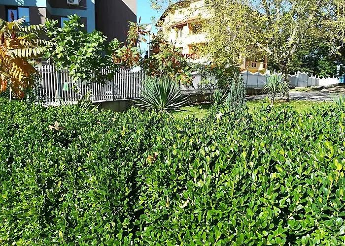 хотел парк 1 Китен